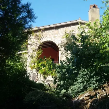 Tucciano