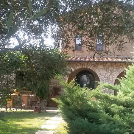Tucciano *